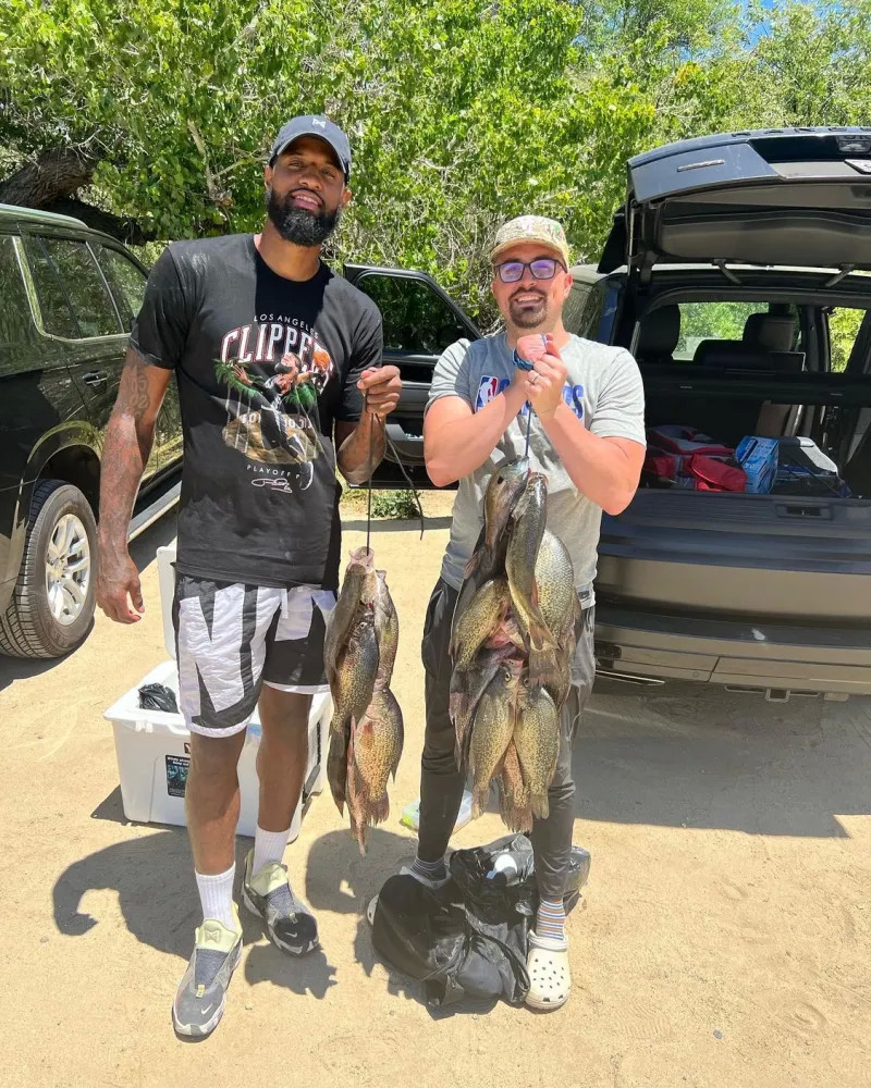 佳的原因分 佳的原因分