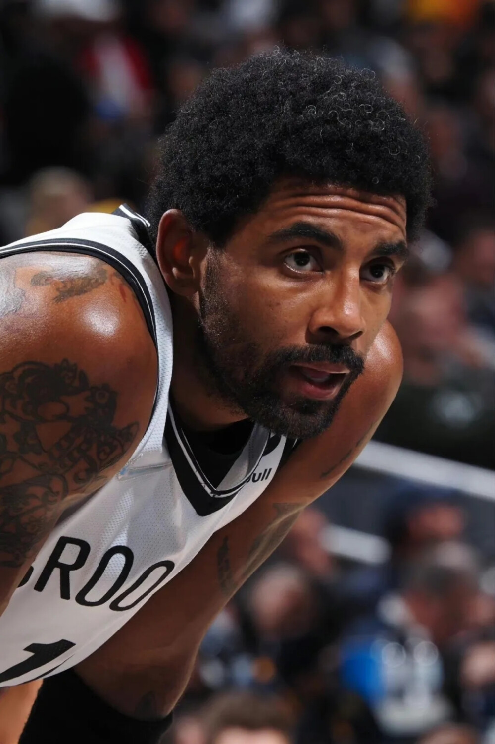 也为中国射 也为中国射